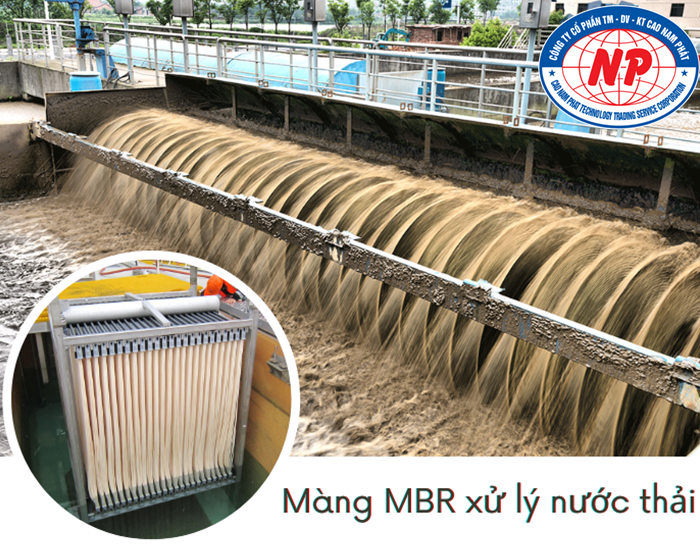 mang-mbr